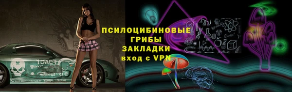 индика Алексеевка