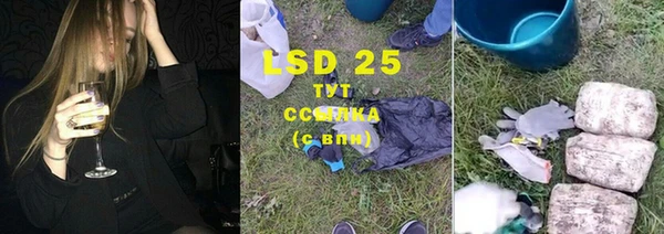 индика Алексеевка