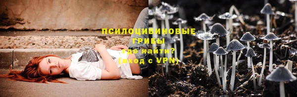 индика Алексеевка