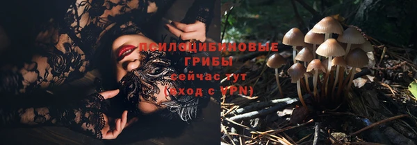 гашик Армянск